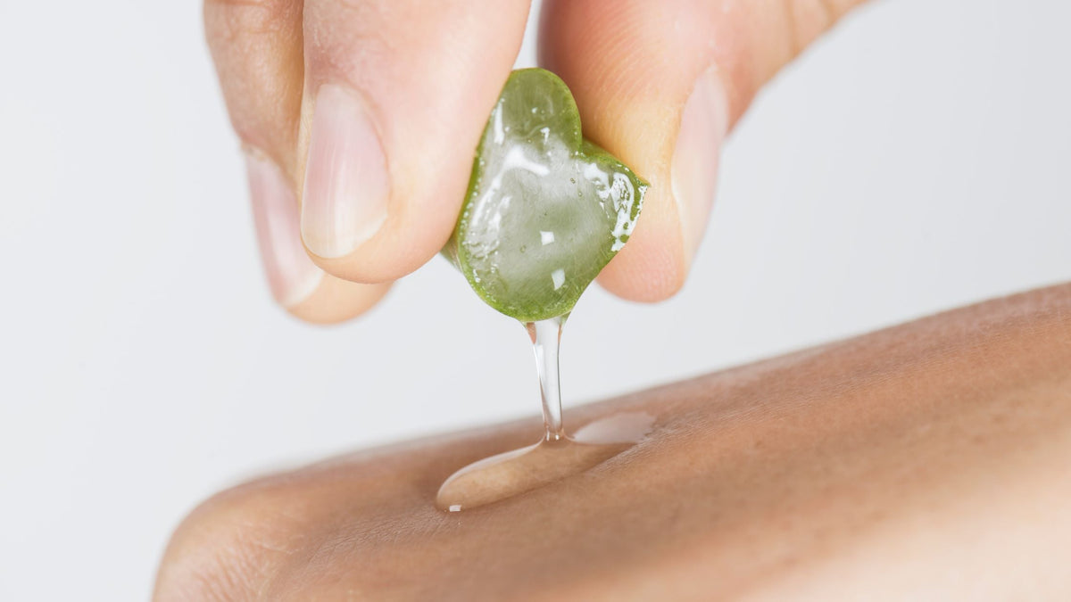 Squeezing aloe vera slice on hand