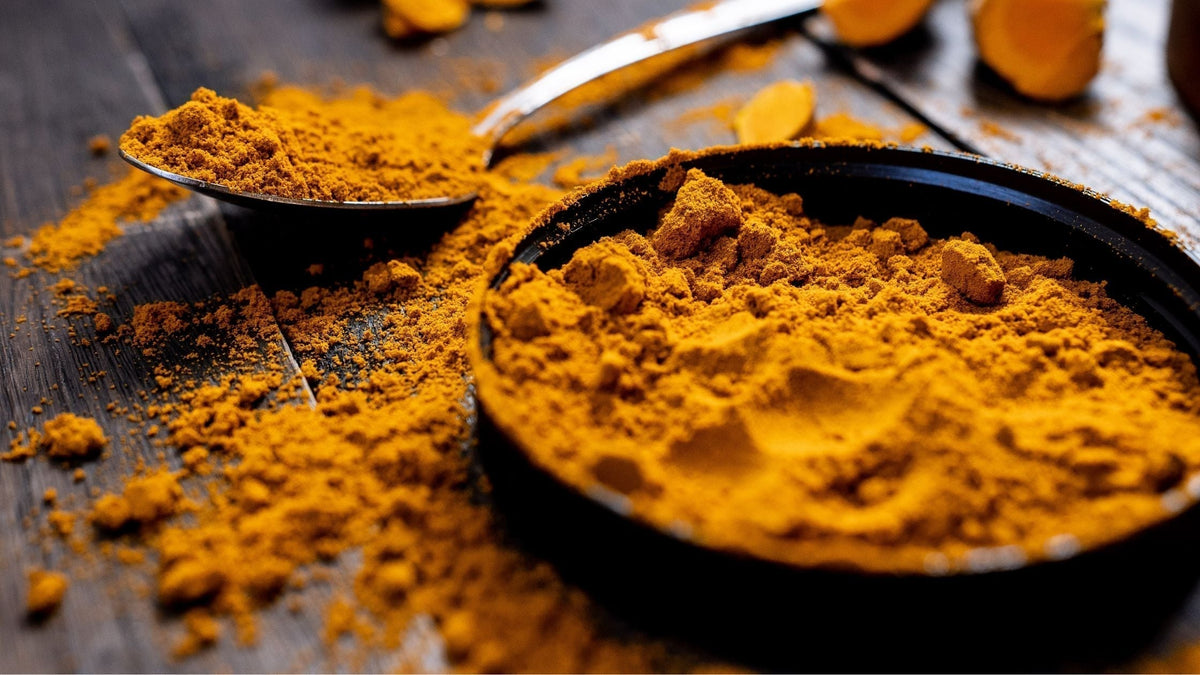Close Up Shot of Turmeric Powder